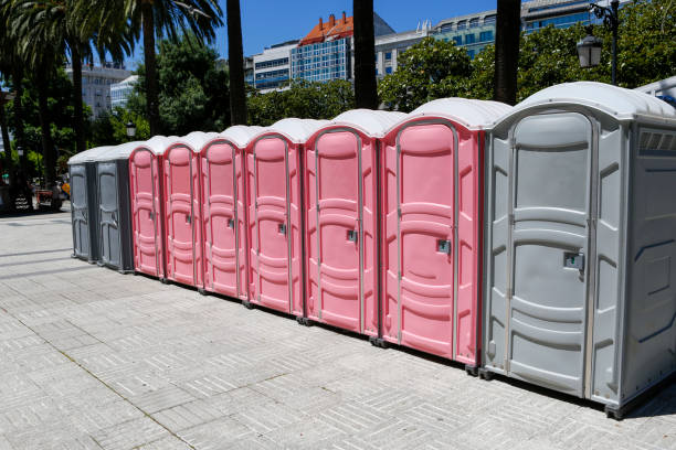 Best Portable Toilets with Baby Changing Stations  in Lake Barcroft, VA
